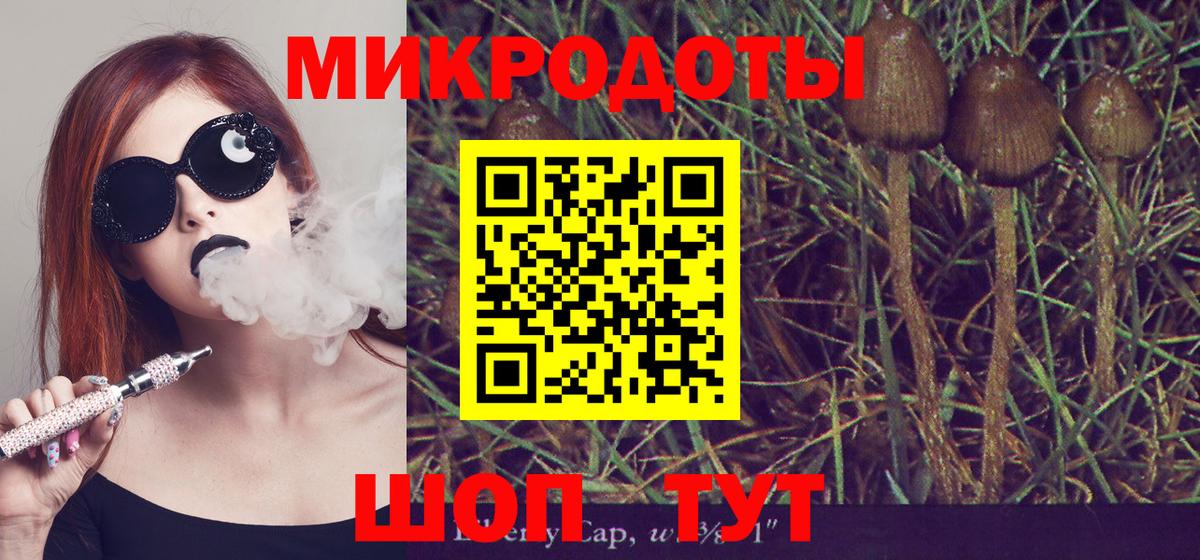 Псилоцибиновые грибы прущие грибы  Вход с VPN  цены   Норильск 